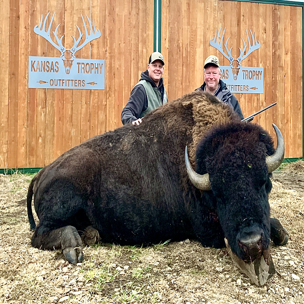 American Bison Hunt