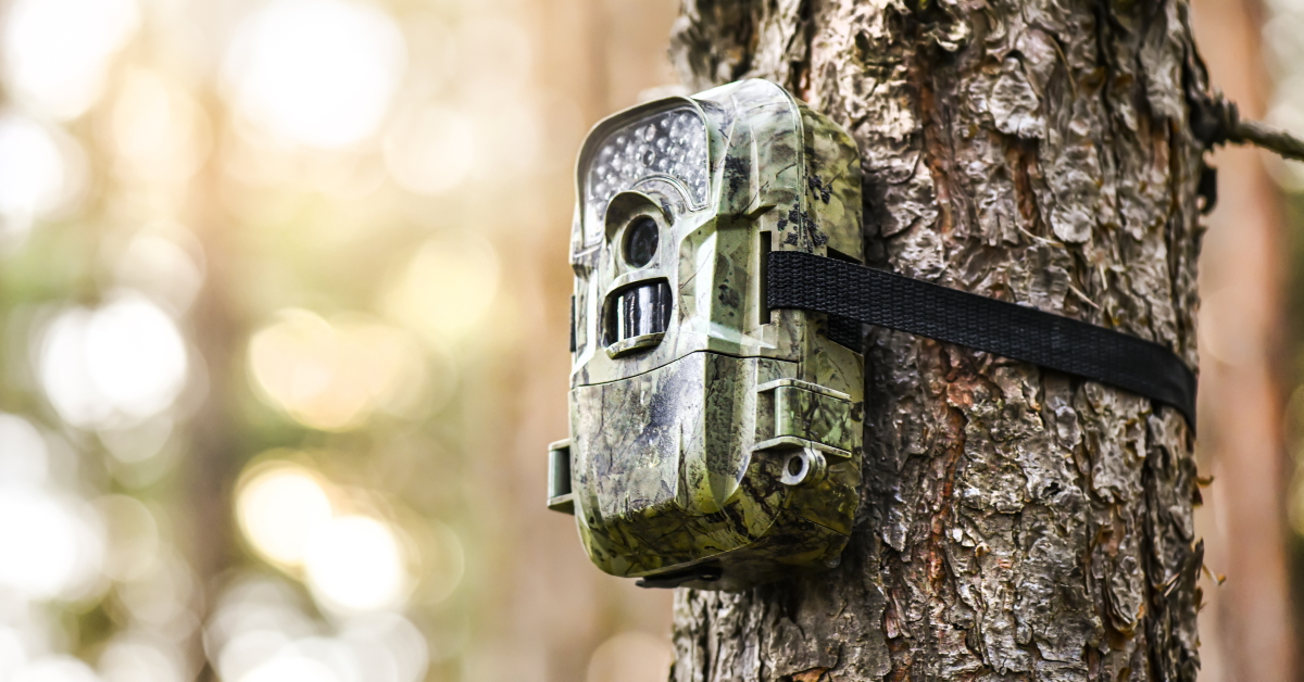 You are currently viewing Our Favorite Trail Cams for Hunters