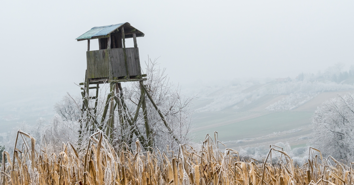 You are currently viewing The Best Locations for a Deer Blind