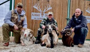 Kansas Ram Hunts